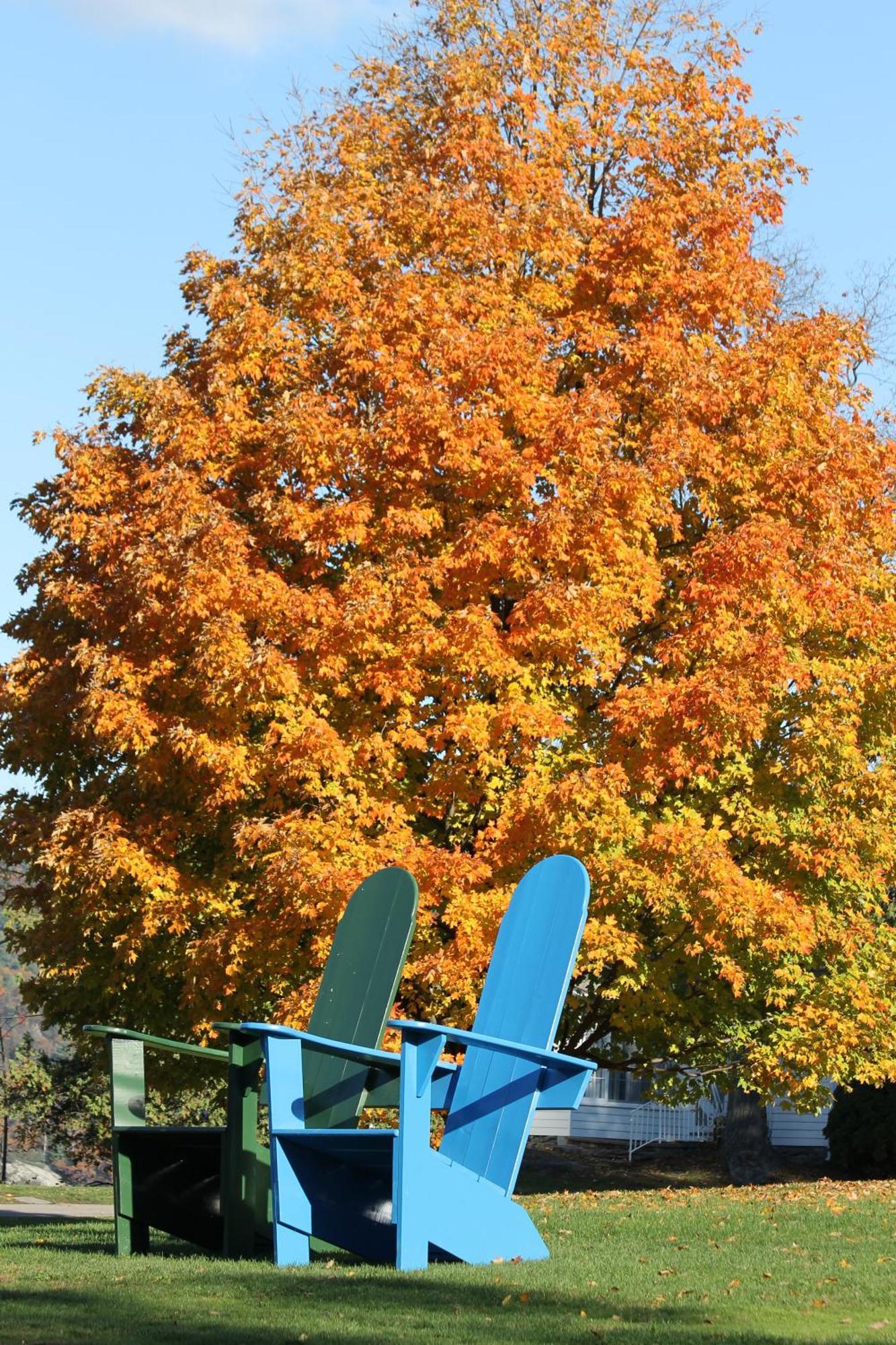 Отель Basin Harbor Vergennes Экстерьер фото